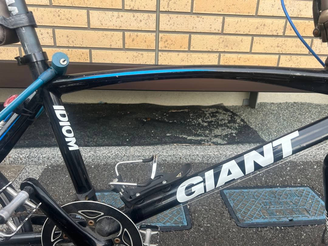 GIANT IDIOM　ミニベロ 自転車 本体 黒・青