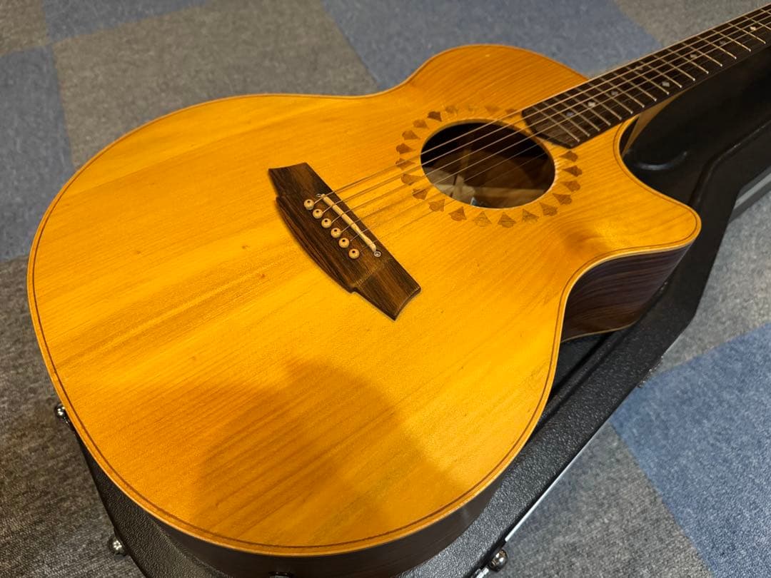 ★Cole Clark AN2AC★