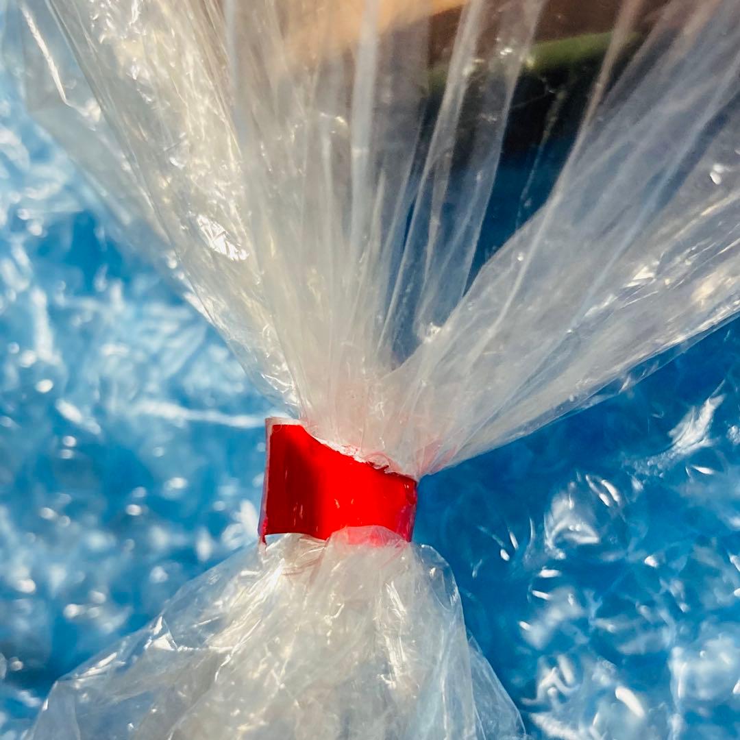 三矢 美容師実技試験用 標準仕様適合 モデルウィッグ 24-12-13 4セット