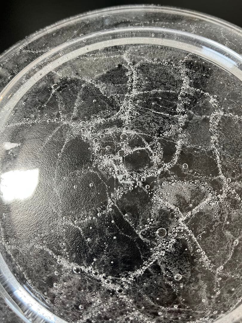 glass atelierえむに emuni ガラス ソーダのプレート