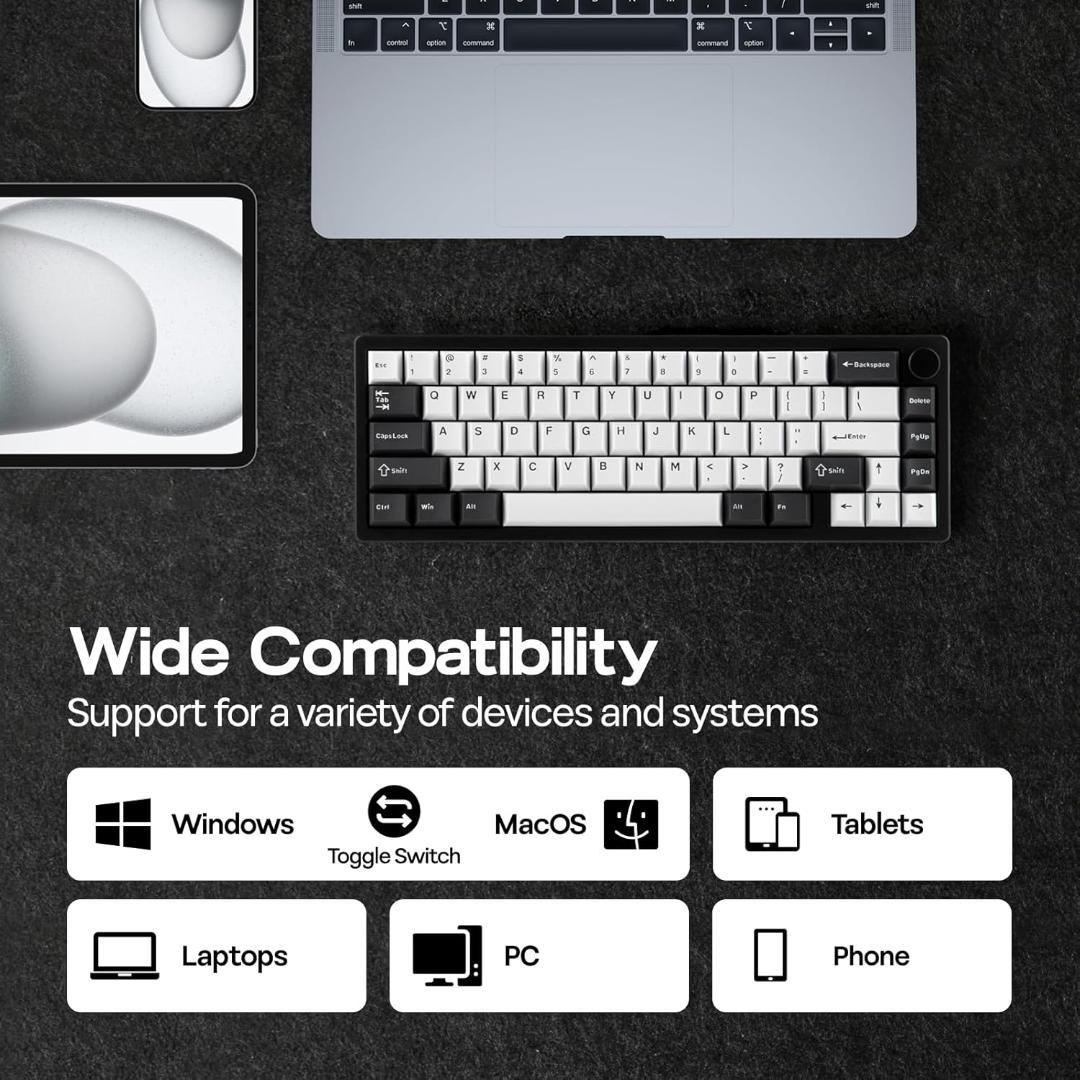 【ほぼ新品】EPOMAKER Galaxy65 キーボード