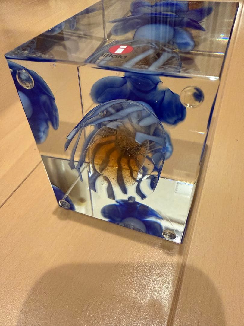 イッタラ ヌータヤルヴィ オイバ・トイッカ アニュアルキューブ 2004