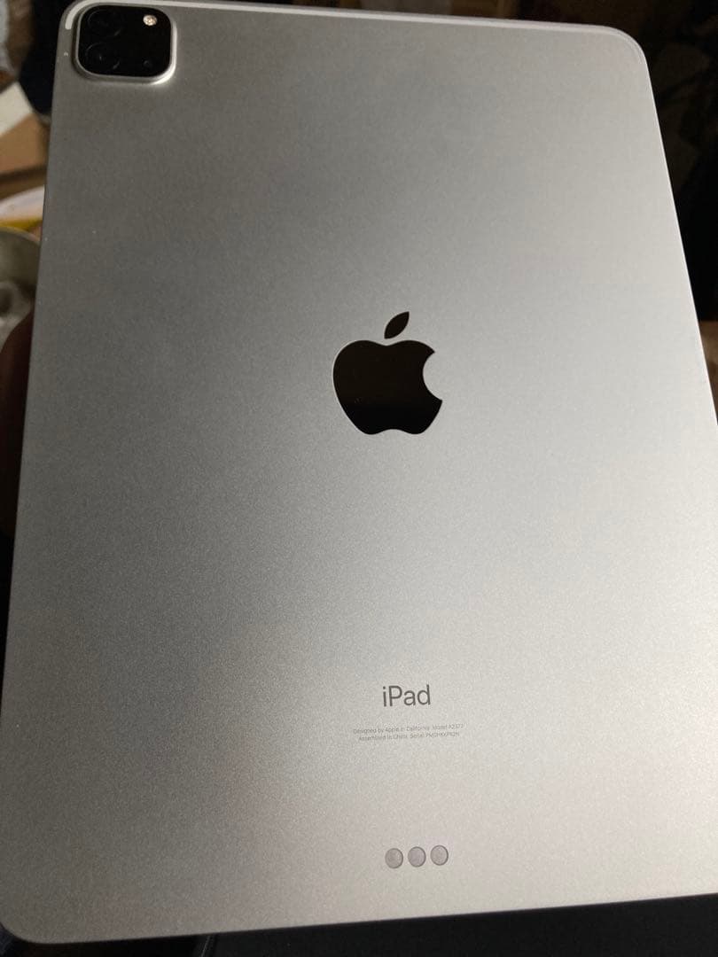 iPad Pro本体 256GB 11インチ 第三世代+Apple Pencil