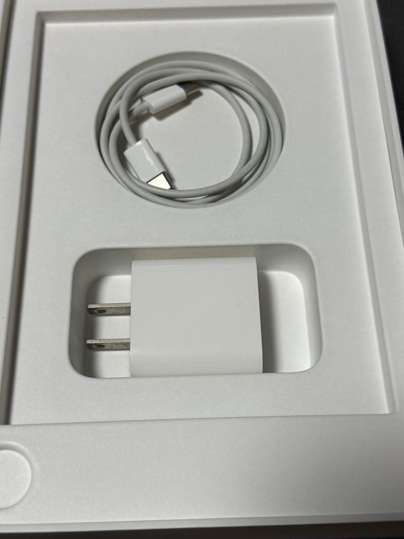 iPadアクセサリー iPad mini6 256GBWi-Fi Apple Pencil