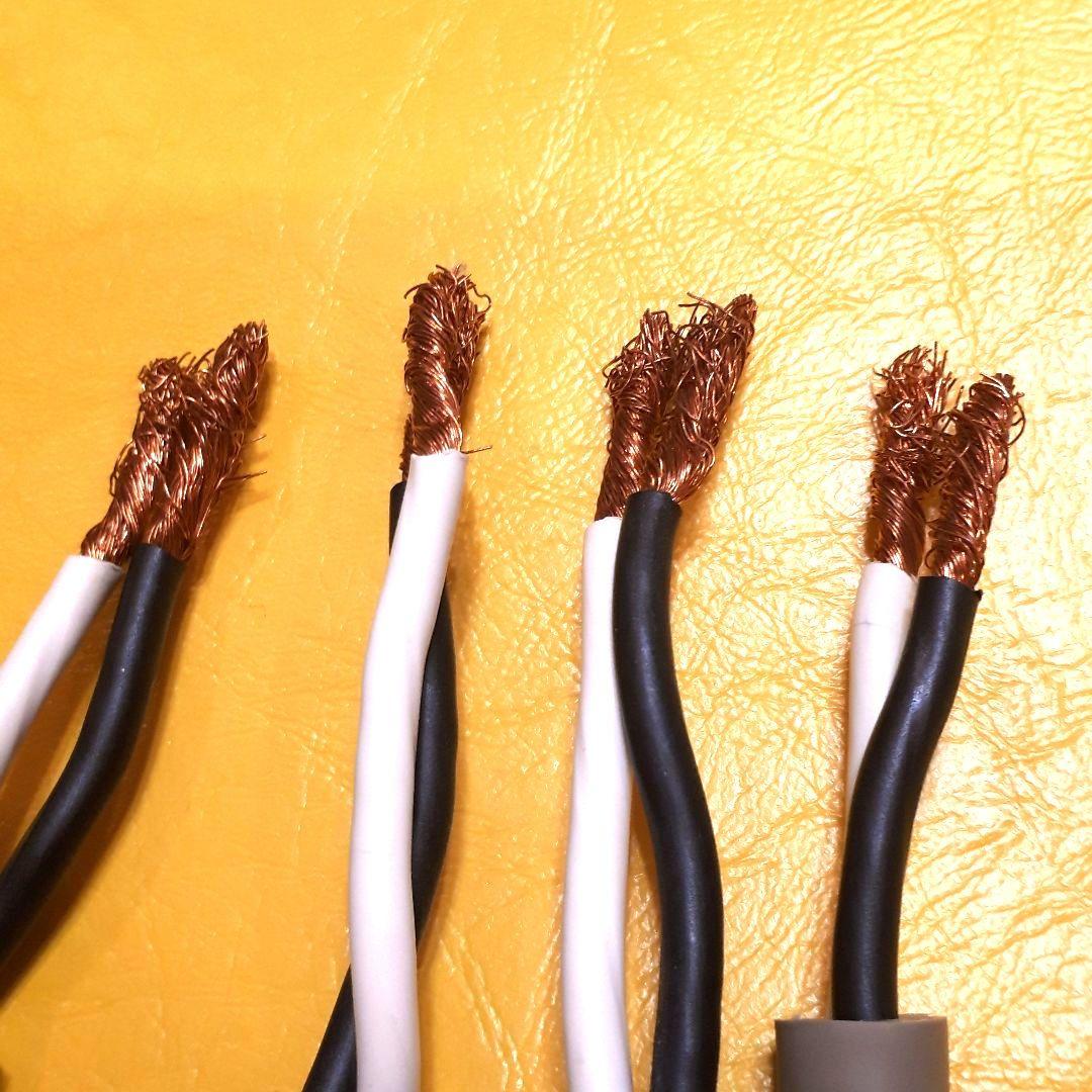 RITAOです。ACROTEC スピーカーケーブル2本