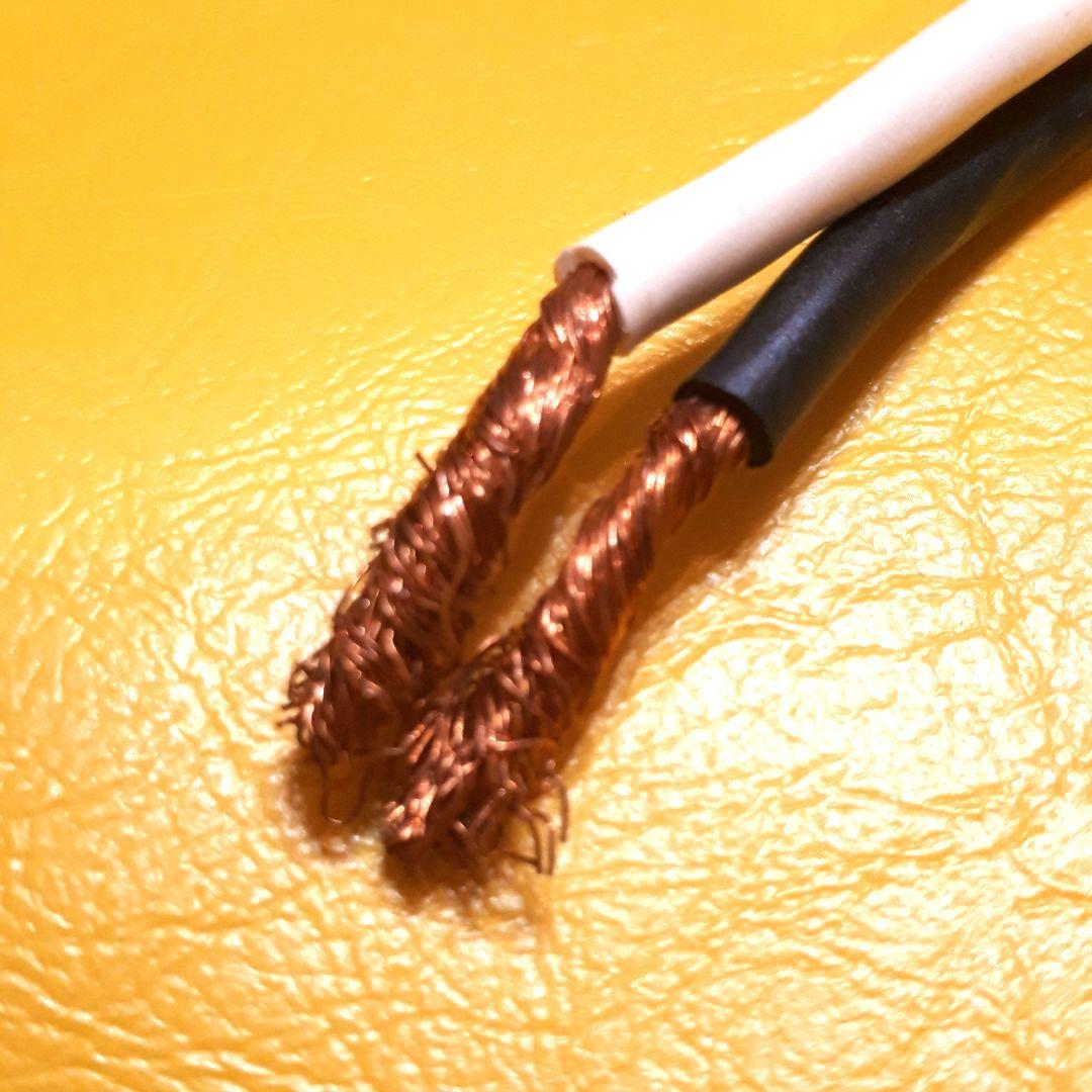 RITAOです。ACROTEC スピーカーケーブル2本