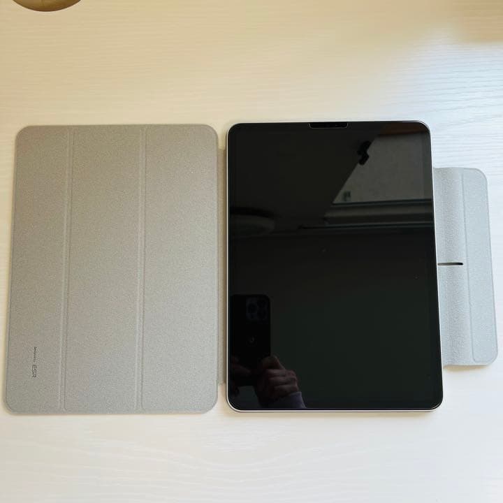 Apple iPad Pro 11インチ 第2世代 256GB Wi-Fi