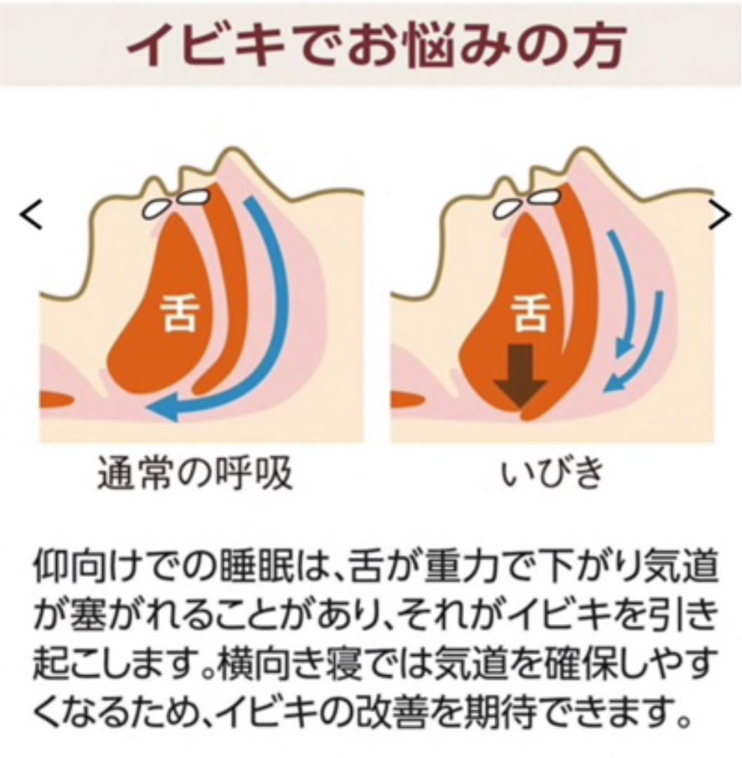 横寝快眠まくらPro.