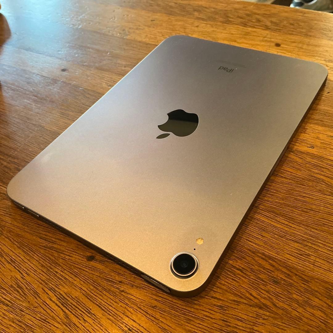 iPad mini 本体 充電器・ケーブル付き