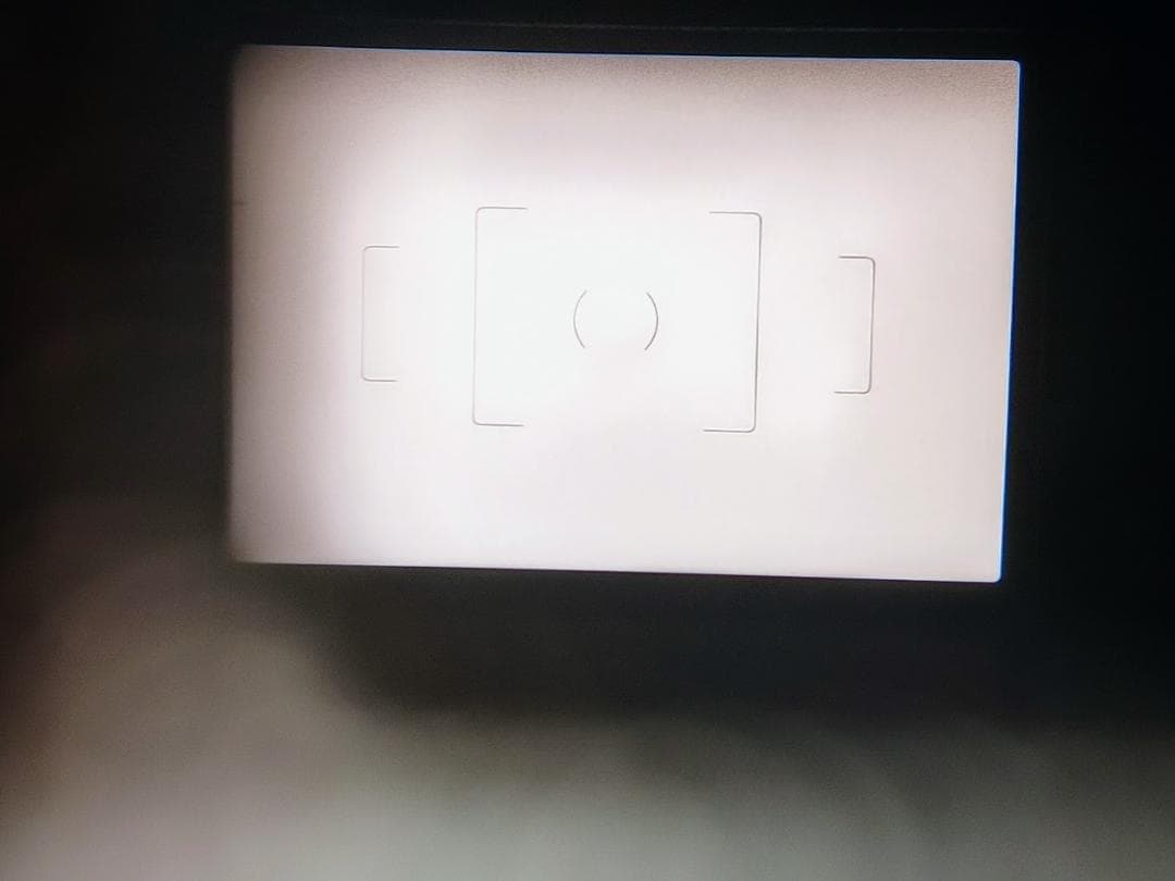 わんこ様確認用