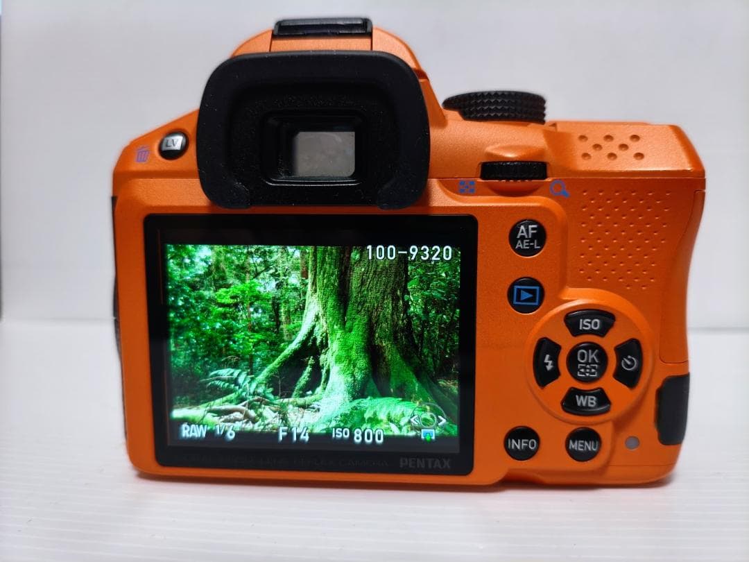 わんこ様確認用