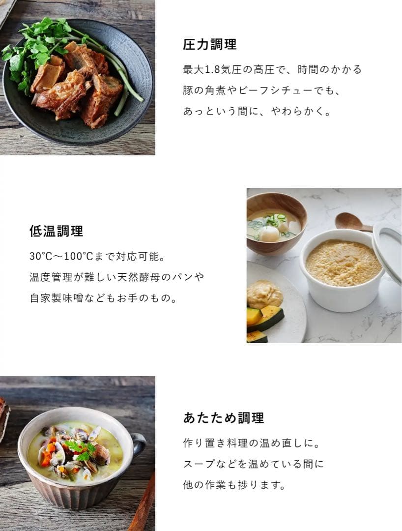 Re・De Pot リデポット 新モデル 炊飯器 電気圧力鍋 低温調理