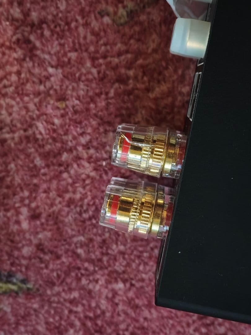 T183 AIYIMA A80 TPA3255 訳あり品