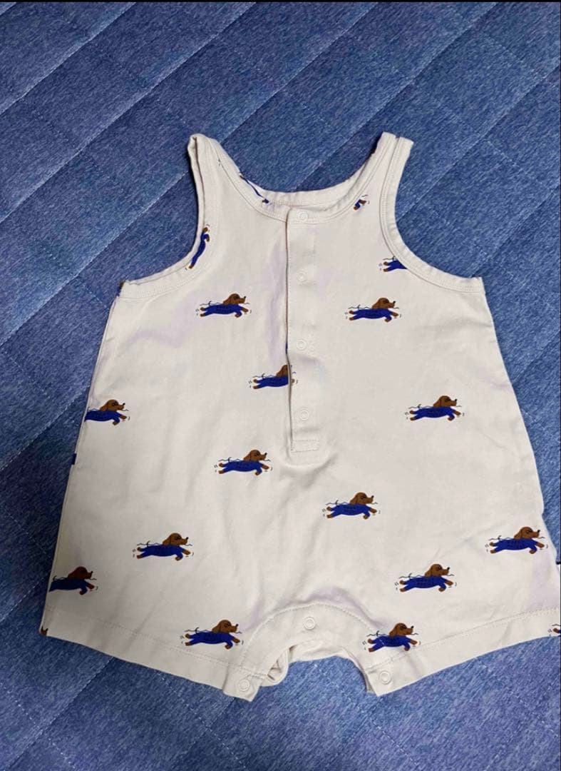 タイニーコットンズ　3点セット　犬　パンツ　ベビー　 6か月から12か月