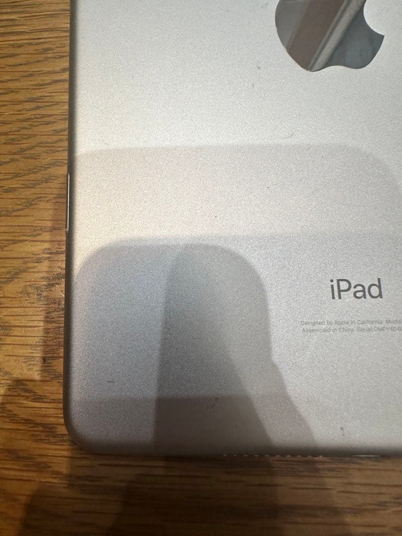 Apple iPad mini 第5世代　256GB Wi-Fi