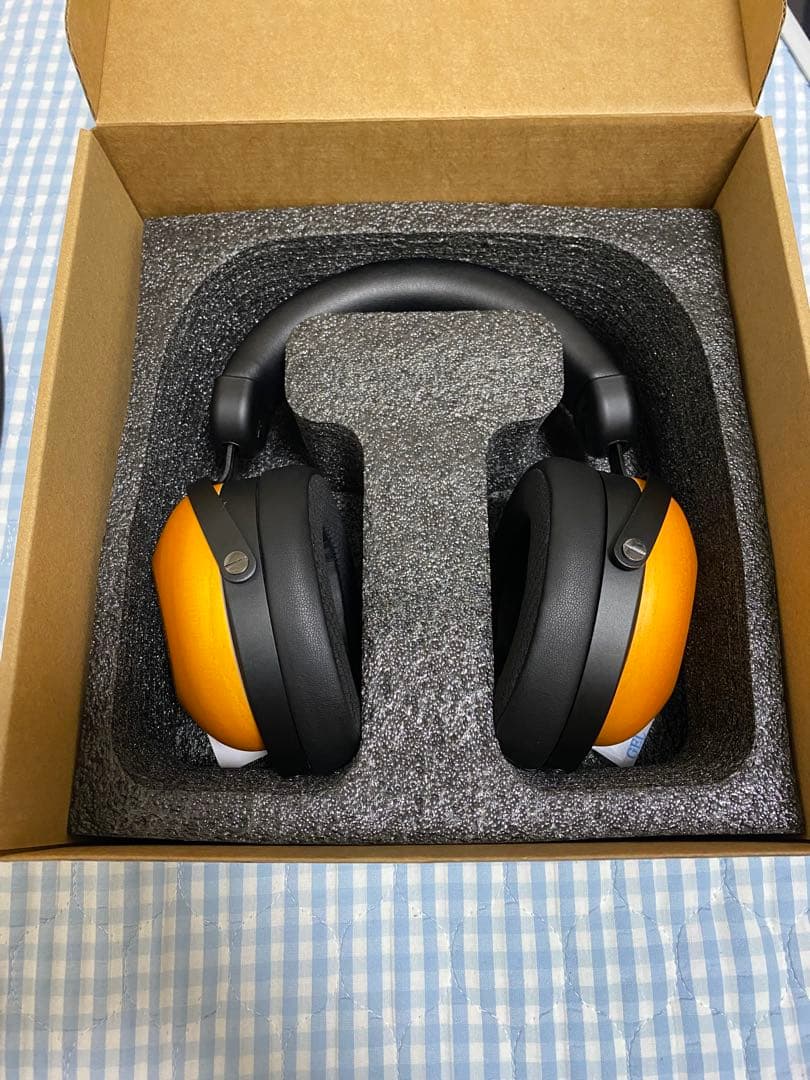 HIFIMAN HE-R10D 有線バージョン