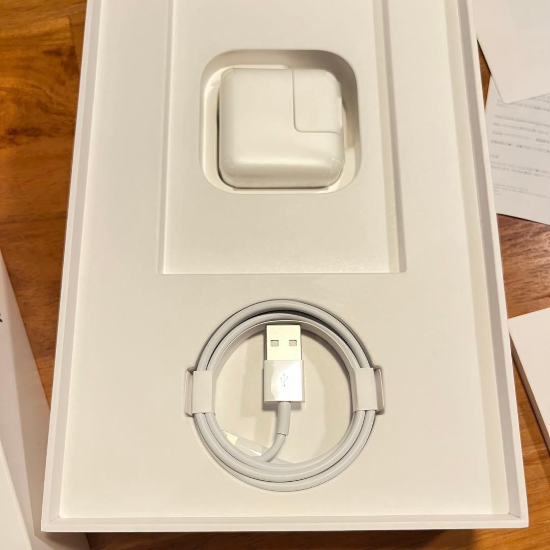 【美品】iPad mini 5 Cellular 64GB スペースグレー