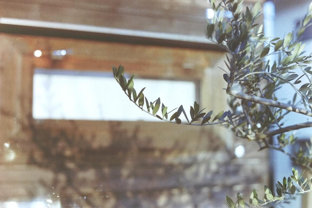 キヤノン IV Sb改(4Sb改)型 50mm F1.8レンズセット L39