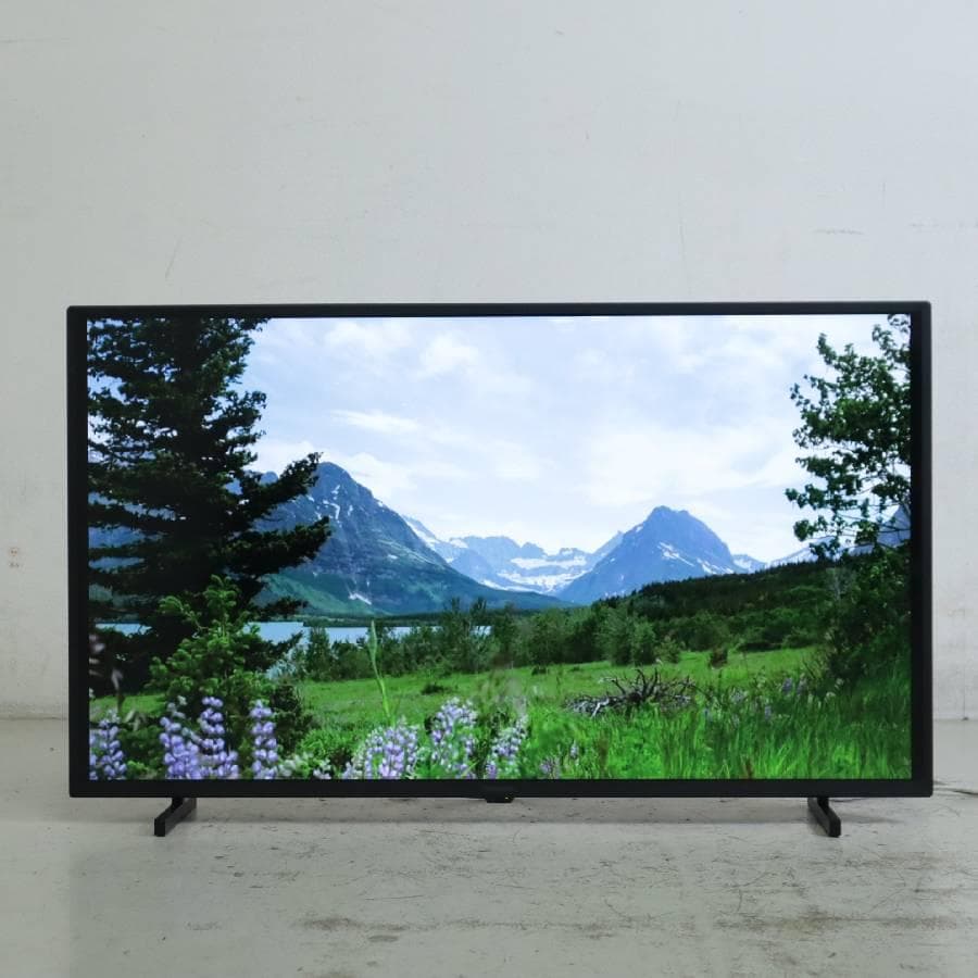 21年 パナソニック ビエラ 4K 40V型 液晶テレビ TH-40JX750