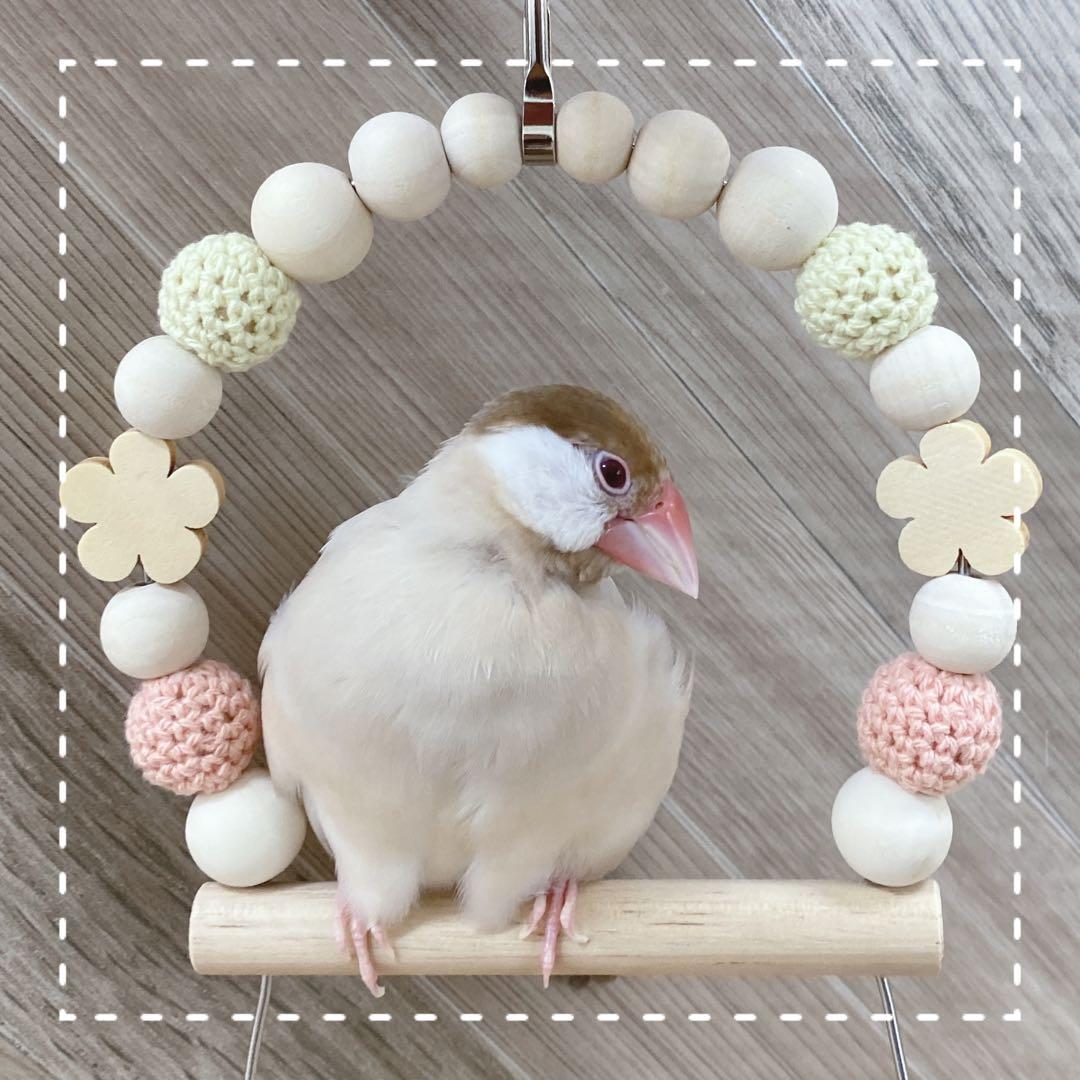 【Iwamoto】ことりのおおきなあそびば