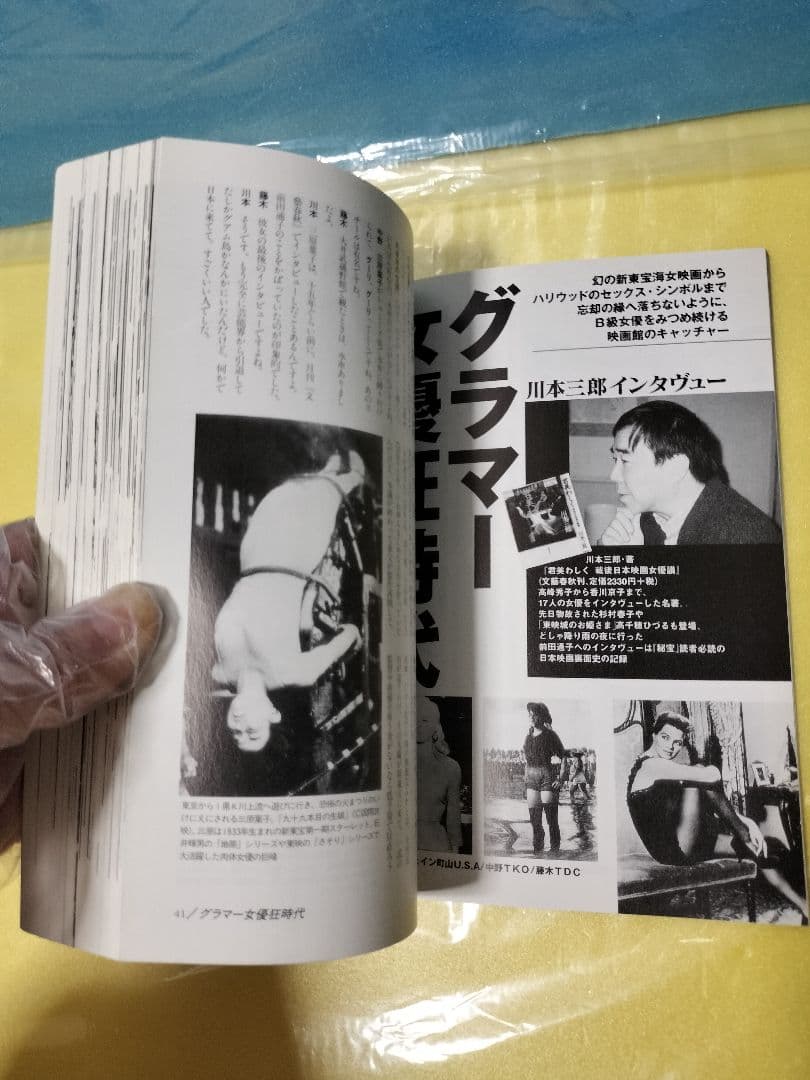 シネマガイドブック他＆趣味性の強い映画研究本16冊セット