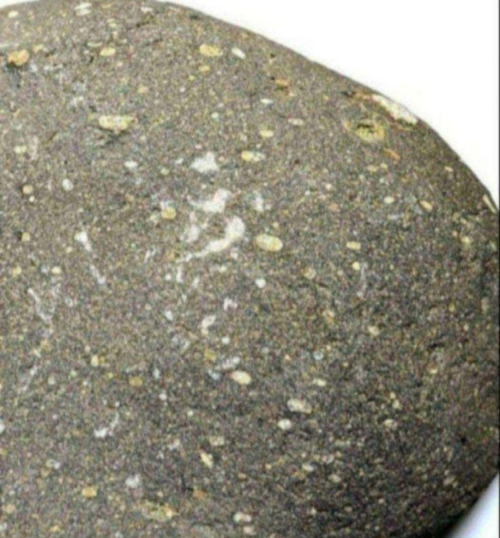 青森県産 外ヶ浜町産 舎利母石 原石 水石 置き石 観賞石 奇石 約3.5kg