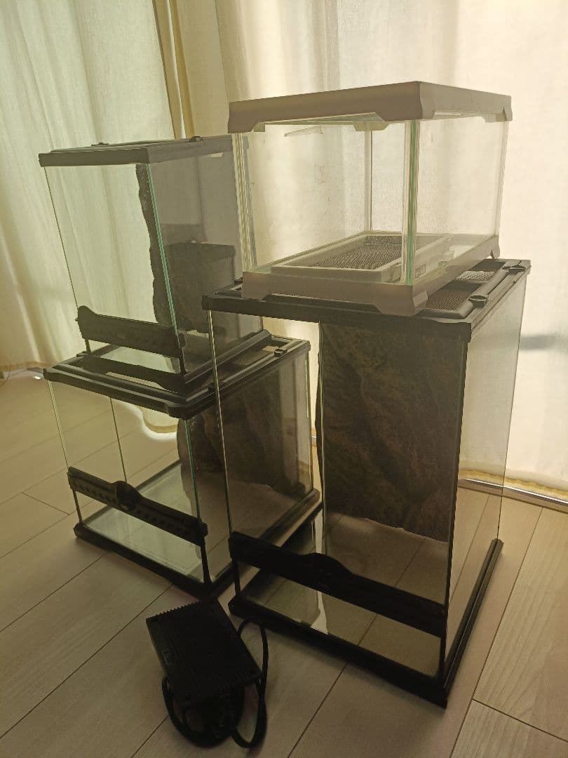 エネル様　ガラスケージ