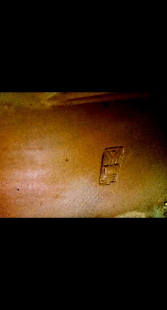 【大品 五葉松盆栽】真柏　　　　⭕吾妻五葉 (短葉)大迫力❗