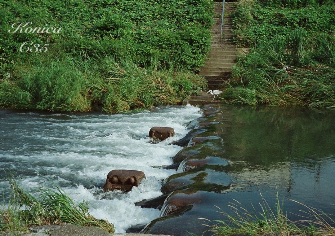 ★希少・完動品★konica c35★本革外装＊美品＊初期保証★フィルム入門に！