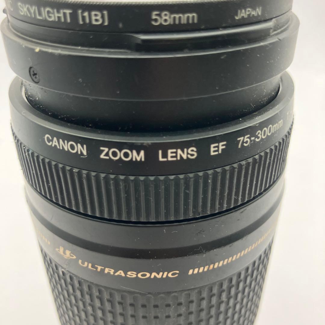 CANON EF 75-300mm ズームレンズ