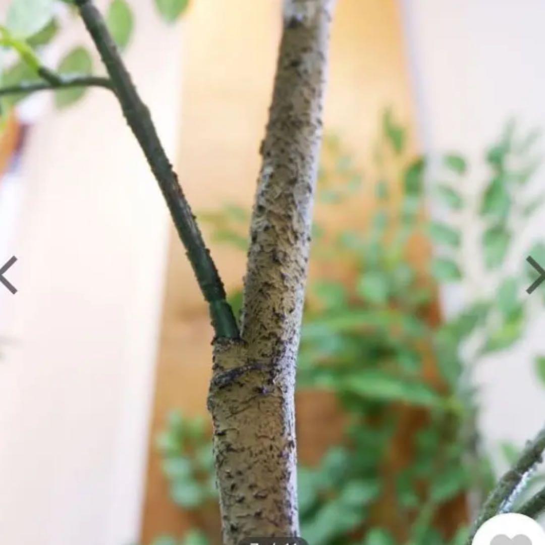 光触媒　人工観葉植物　ウォールグリーン　フェイクグリーン　トネリコ180180