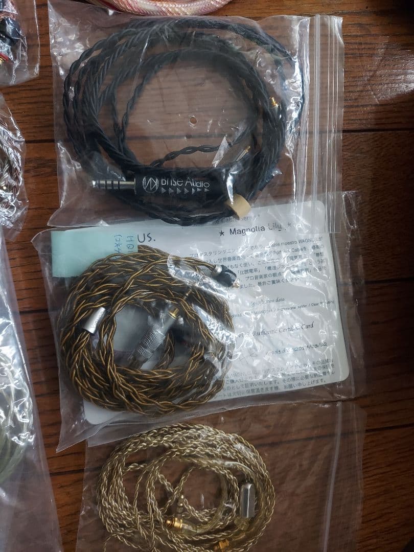 446　イヤホン11本 セット　ハードケース、cayin n5 ii 付き