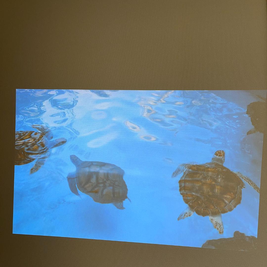 美品 Nebula Cosmos Laser 4K D2350