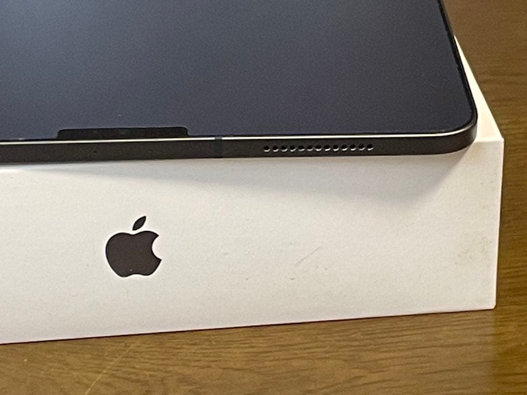 iPad Pro 11 256 SIMフリー第一世代　本体　美品　おまけ付き