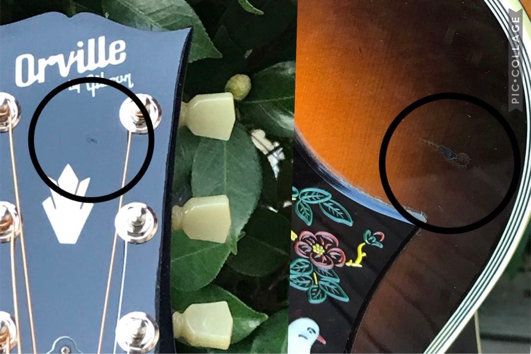 Orville by Gibson DOVE ギブソン