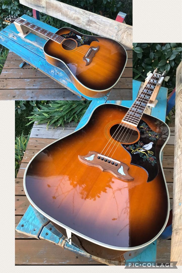 Orville by Gibson DOVE ギブソン