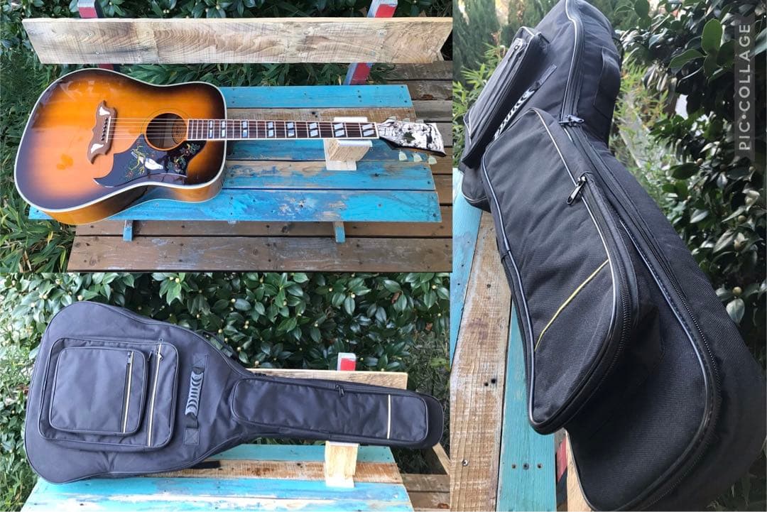 Orville by Gibson DOVE ギブソン