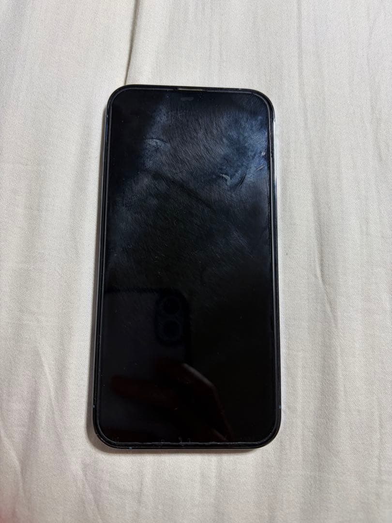 Apple iPhone 13 Pro シエラブルー 256gb