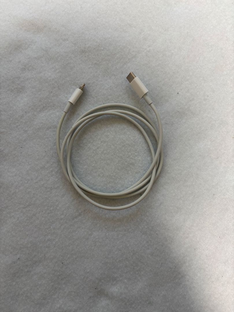 AirPods Pro ワイヤレスイヤフォン 本体