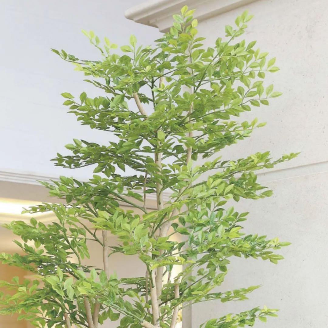 光触媒　人工観葉植物　フェイクグリーン　アーバンゴールデンリーフ1.8m