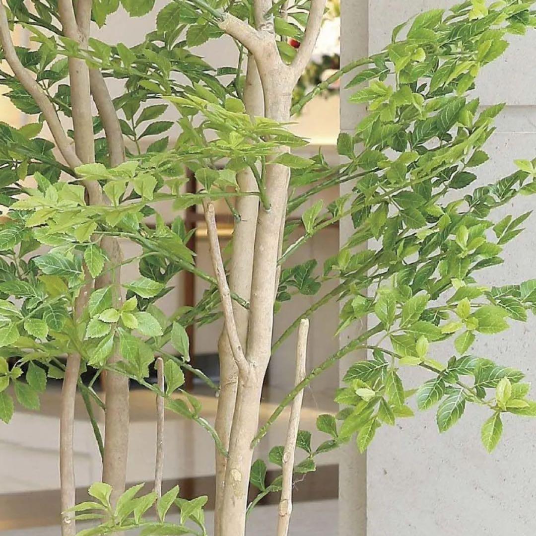 光触媒　人工観葉植物　フェイクグリーン　アーバンゴールデンリーフ1.8m