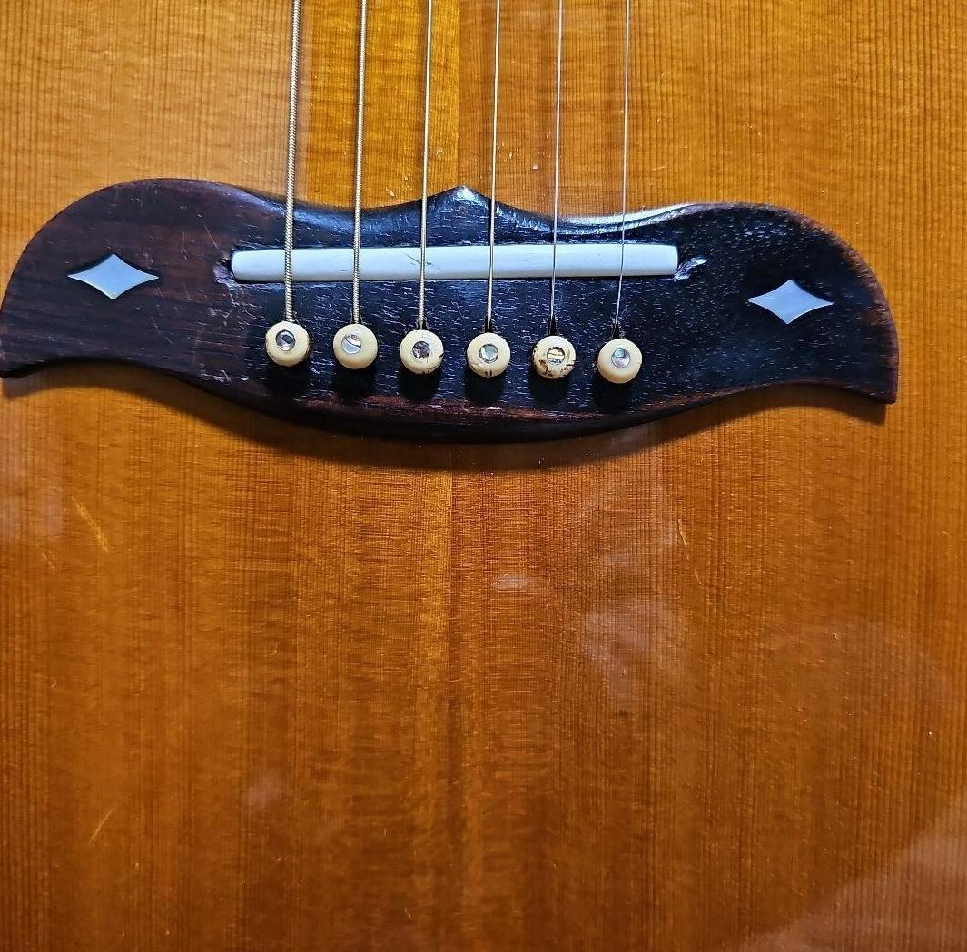 とてもレアなエレアコ★Aria.Erecord. FE-70★ハードケース付き★