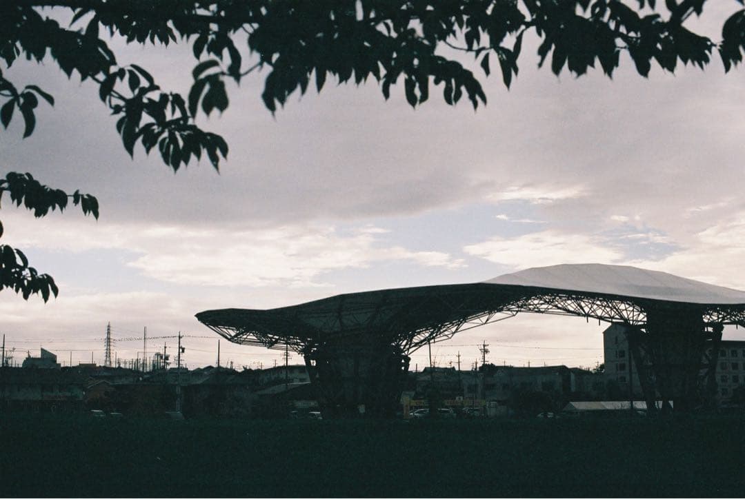 【整備品】CANON 旧F-1 前期　作例あり