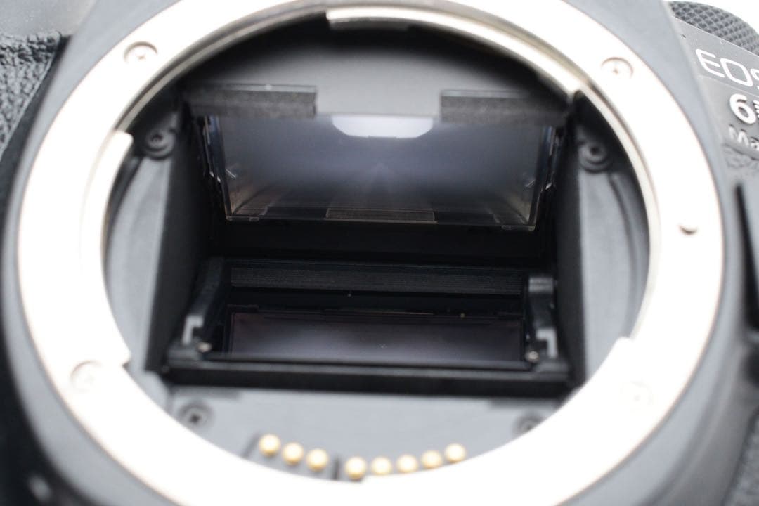 保証付き/Canon EOS 6D Mark II標準&望遠ダブルレンズセット