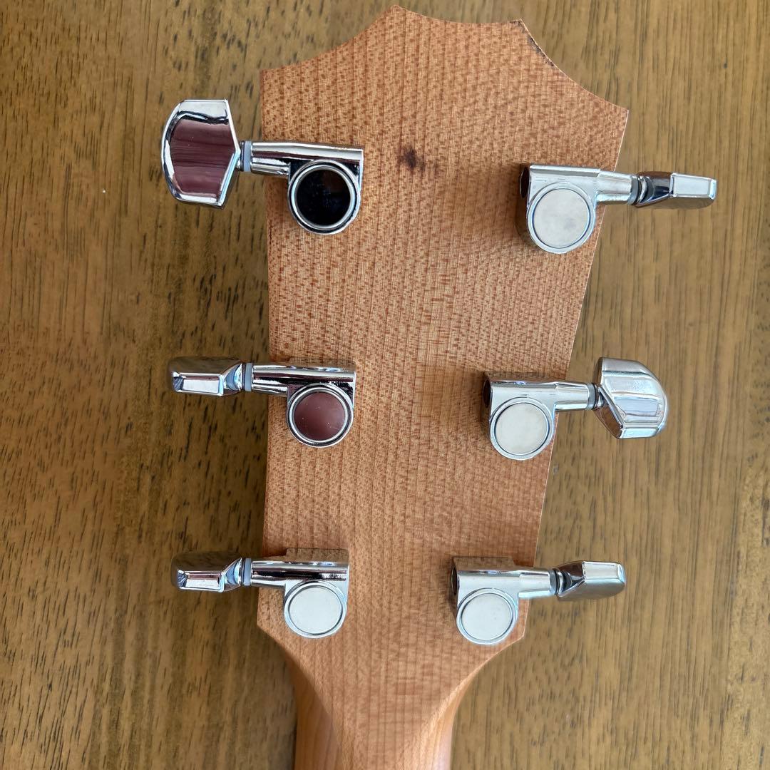 Taylor Academy 12e エレアコ