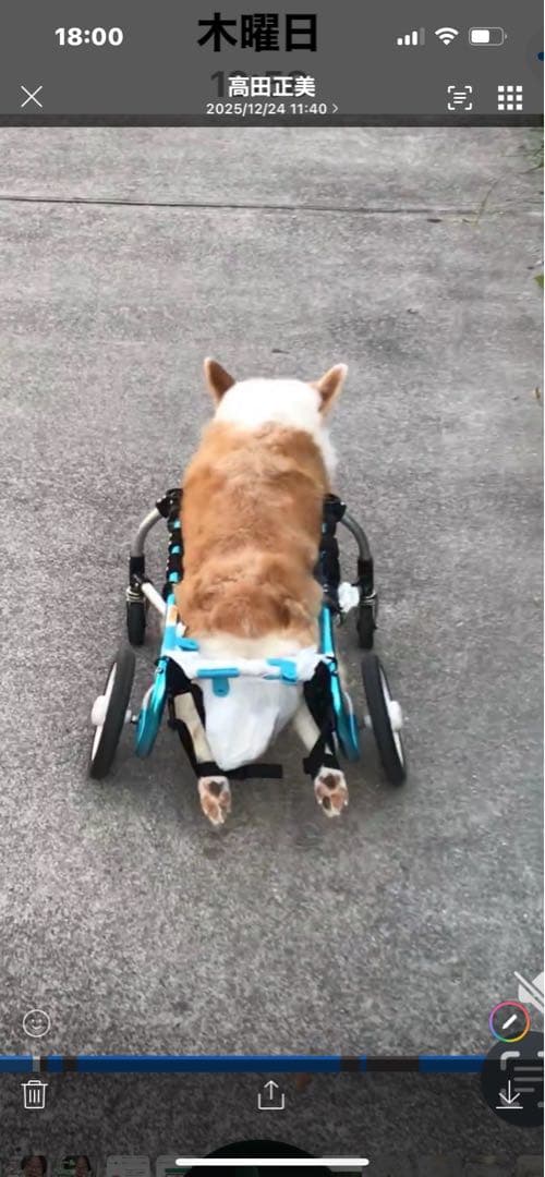 ぽちの車イス　コーギー13.5Kg用