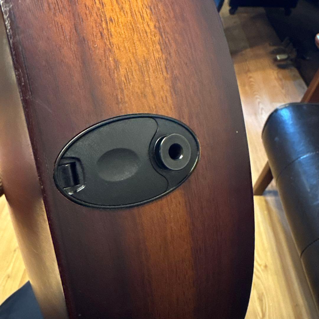 Taylor GS mini koa-e plus エアロケース付属