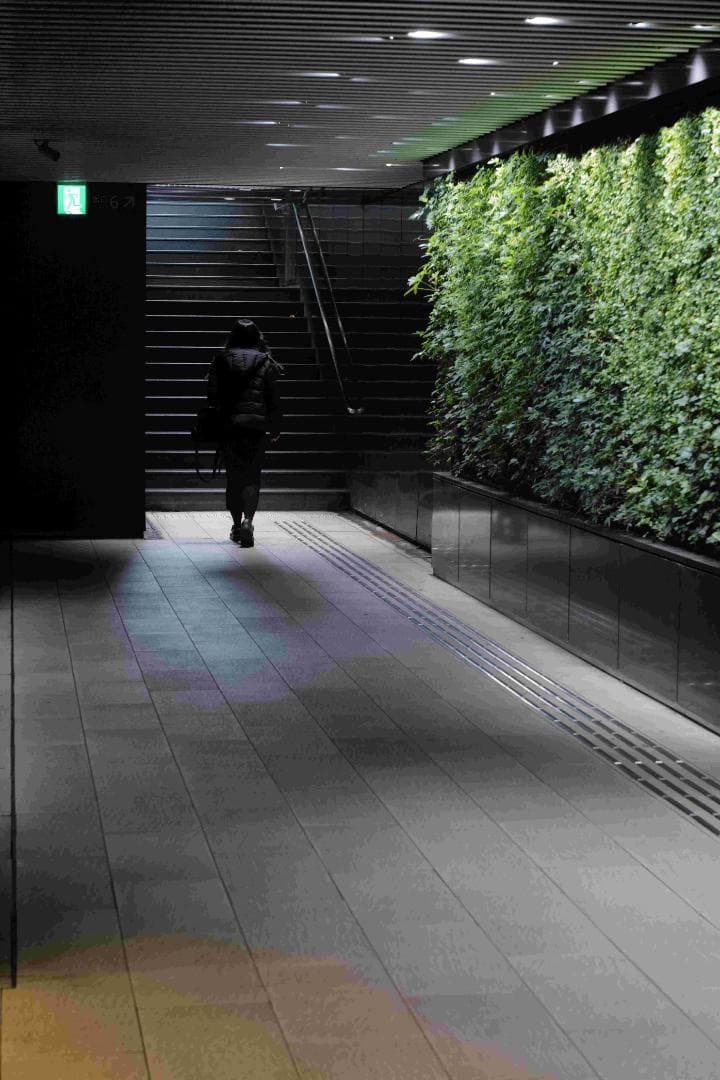 Carl Zeiss Jena Biotar 75mm f1.5 OH済