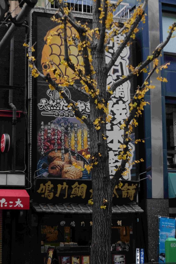 Carl Zeiss Jena Biotar 75mm f1.5 OH済