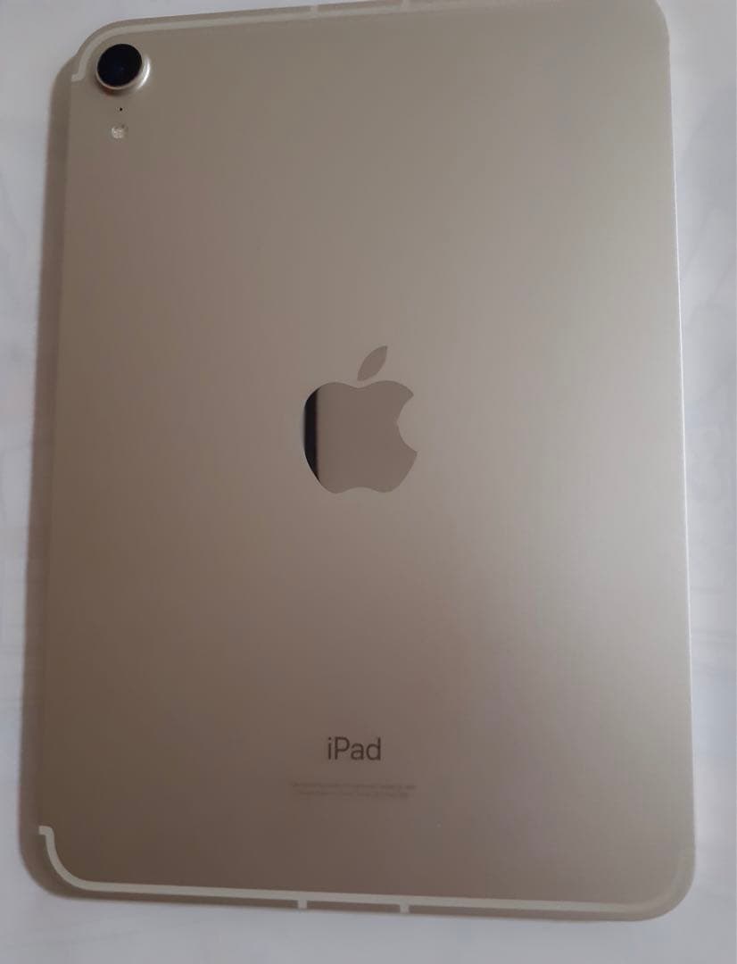 【買い得品】iPadmini6第六世代 256GB Wi-Fi＋セルラー